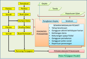 Diagnosis Perawatan