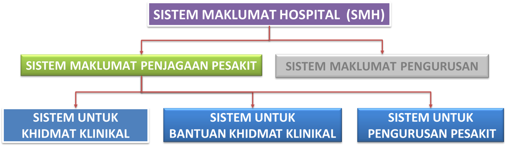 Sistem Maklumat Penjagaan Pesakit